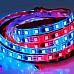 12V 5050 SMD LED Dreamcolor LED Strip Lights With 1903 IC