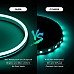 24V Neon Strip Lights