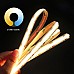 COB CCT LED Strip