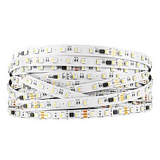 12V TM1814 Addressable LED Strips