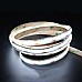 High lumen output 12V CCT COB LED strips for ambient lighting