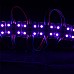 Purple 5050 LED Module