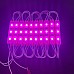 pink led modules