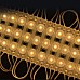 110V/220V Waterproof 3 LEDs AC LED Modules