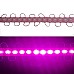 pink truck led modules