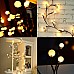 LED Outdoor Christmas Light
