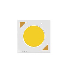 30W High Power LED Chp