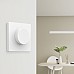 yeelight smart switch home assitant