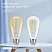 filament light bulbs led