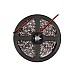 5050 LED Strip Light