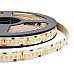 Warm White Flexible LED Strip Light