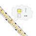 24V Flexible LED Strips
