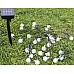Solar LED String Light