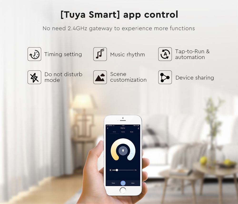 DC24V Smart WiFi Lighting Dimmer