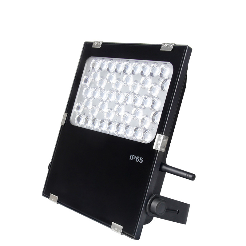 outdoor landscape colored lights