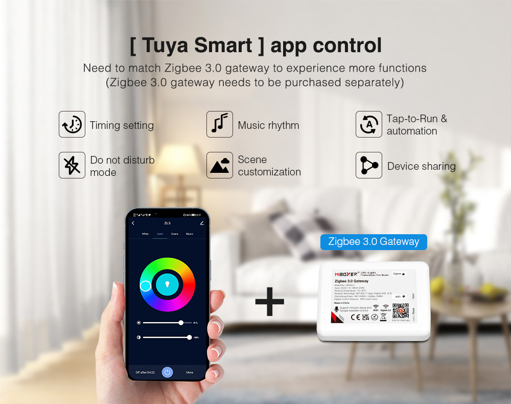 RGBWW Controller Box