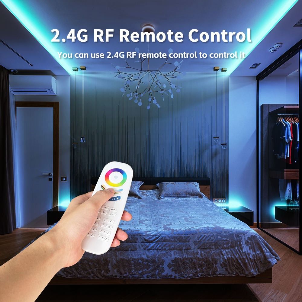 48V Remote Control Light Controller