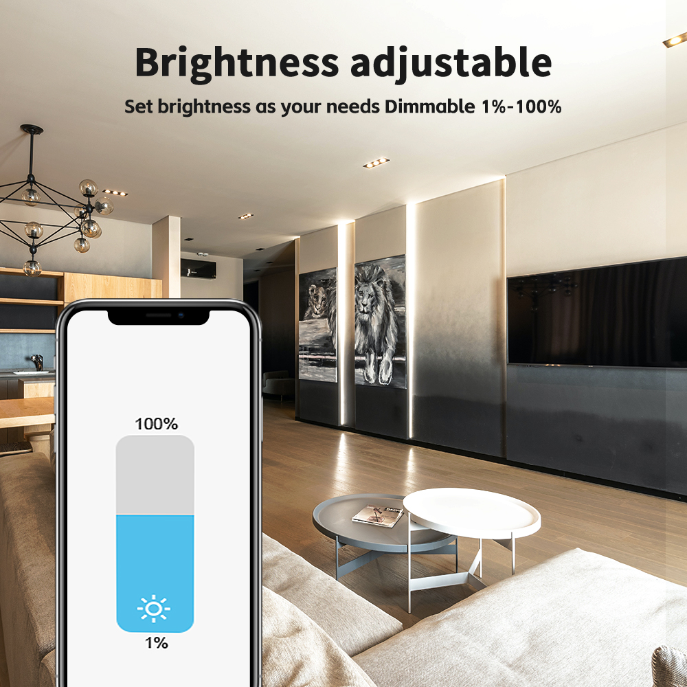 Brightness Adjustable LED Controller